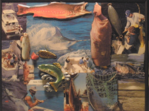 A collage of different fish and fishing equipment.