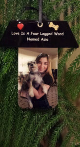 A woman holding her dog in front of a tree.