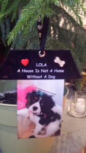 A picture of lola and her dog lola.