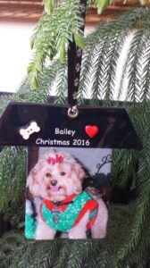 A dog wearing a christmas sweater hanging from a tree.